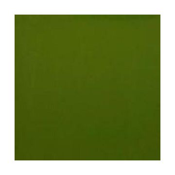 96-4003 fern green opal