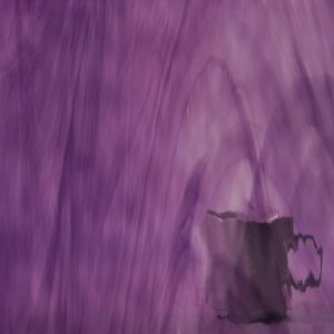 444-1Wf deep violet/pale purple 