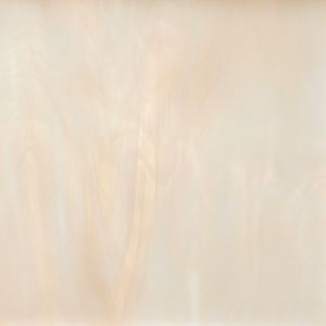 891-81f champagne 