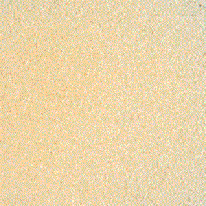 F1 1102-96sf pale amber transparent