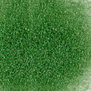 F2 125-96sf dark green transparent