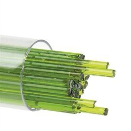 Spring Green 1426