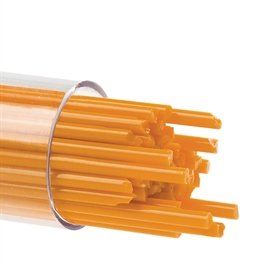 2 Pumpkin Orange 0321