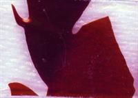 FLOAT-Confetti BF 1055 