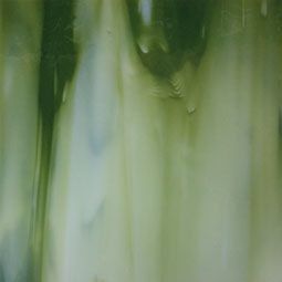 96-1043 Fern Green on White ca.29x30 cm